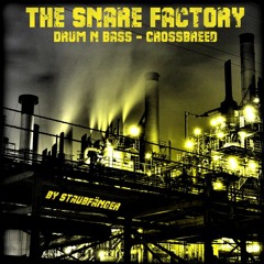 The Snare Factory