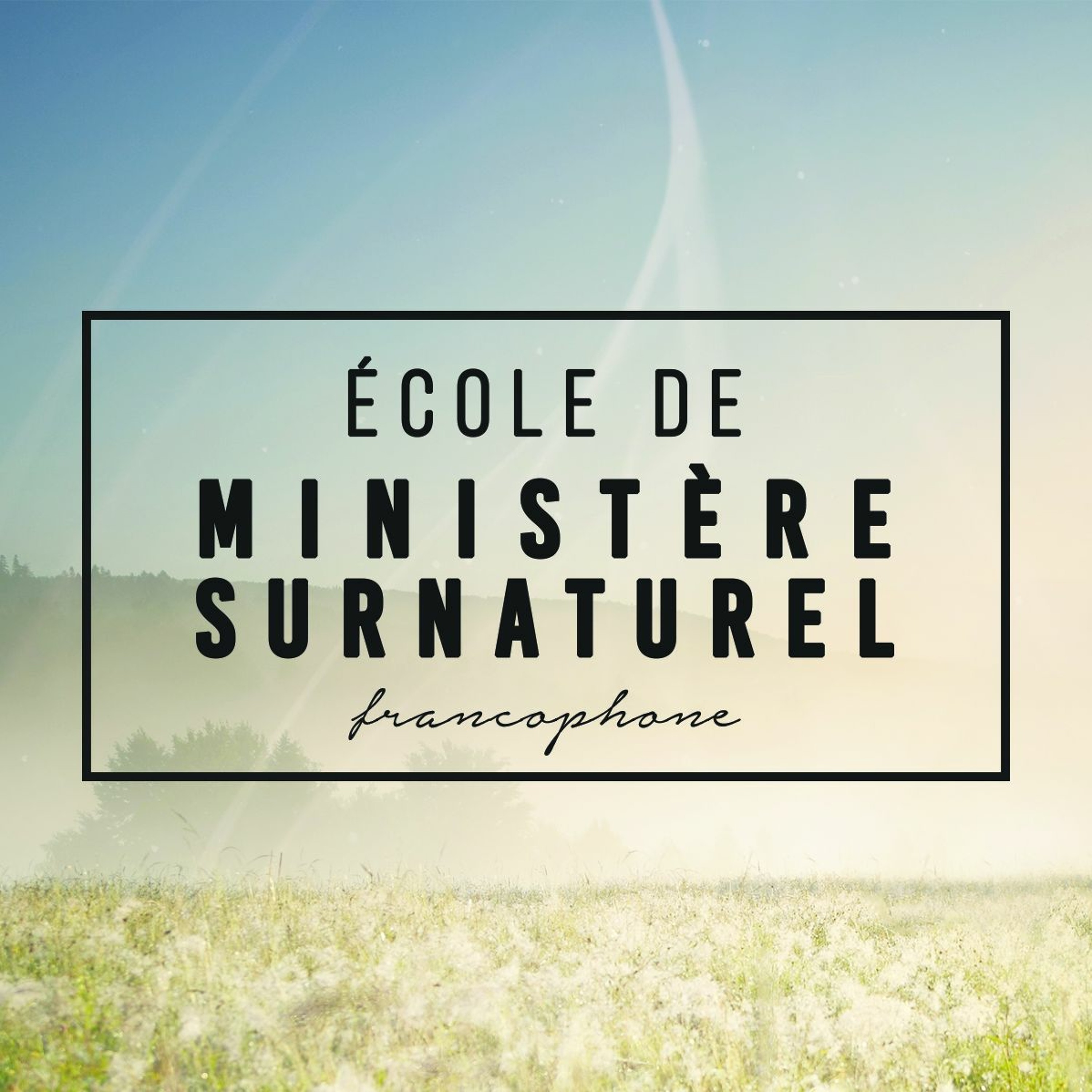 EMSF#7 pm Activation des dons-2016 Février 2016-Pst David Théry episode artwork