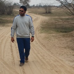 Pari - Ravinder Grewal (DJJOhAL.Com)