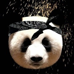 Panda Freestyle