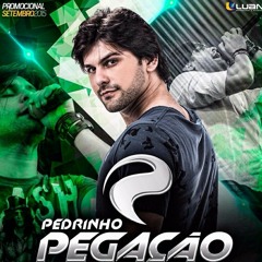 Deixa o Som Bater - Pedrinho Pegação