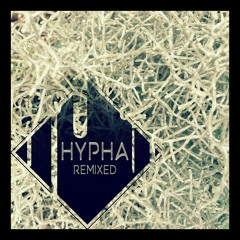 Hypha - Solar Winds (ONHELL Remix)