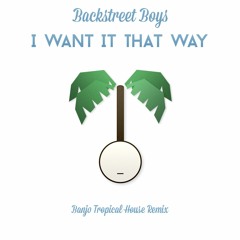 I Want It That Way - Backstreet Boys (Fiscus Banjo-Tropical Remix)