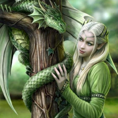 Dragons And Fairies Elves