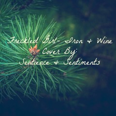 Freckled Girl- Iron & Wine (COVER)