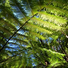 Last To Know (Neil Finn cover)(featuring Axeman5150)