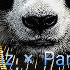 Panda Remix ft Desiigner