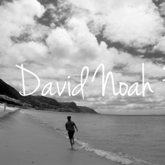 The girl - David Franke