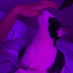 Common Girl - Beach House (cover)