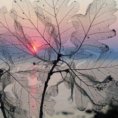 Shirley Bassey & Nightmares on Wax – Easy Thing to Do