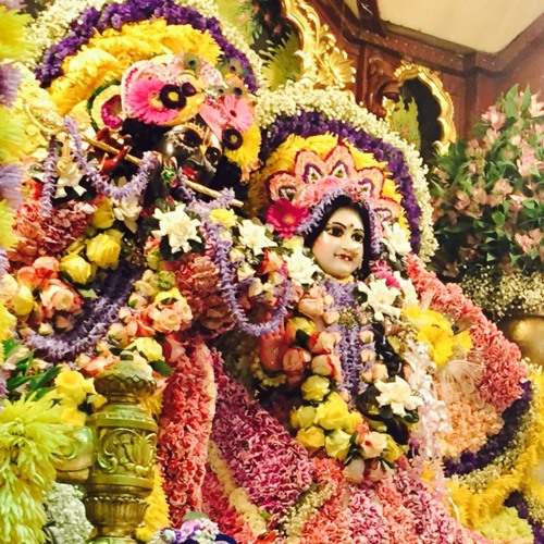 Stream Acyuta Gopi Nitai Pada Kamala 2016 by Concrete Jungle Kirtan