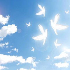 Fly with You