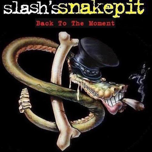 Amazon.com: Slash slash's snakepit T One Size Fits All Hobby