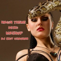 Nagin Theme Desi  Mashup Dj Shiv Chauhan