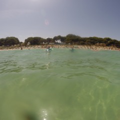 neuroSE aka placid - Rudeboys