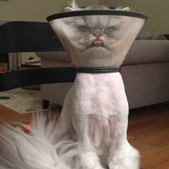 Mix Drum vinyle anto gazoil