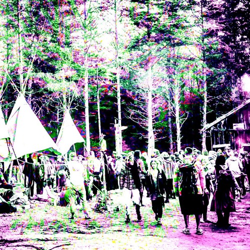 DARK WORLD FOREST VIBE'S