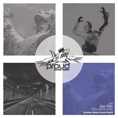 Sam Pitch - I'll Give You (Original Mix)