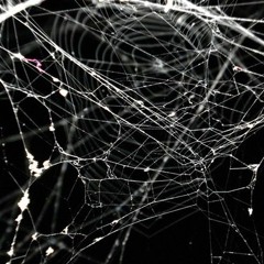 infaakt_0.4-how_about_a_nice_cup_of_stfu?