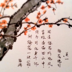 ♫ 琵琶語 Pipa Yu - The Language of Pipa (Guzheng & Guitar 古筝与吉他)