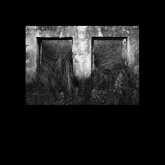 Cristi Cons & DeWalta - Within Space ∞ (MEANDER 17)