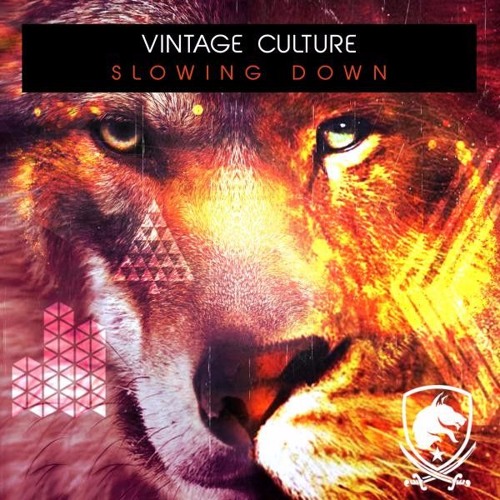 Vintage Culture - Slowing Down