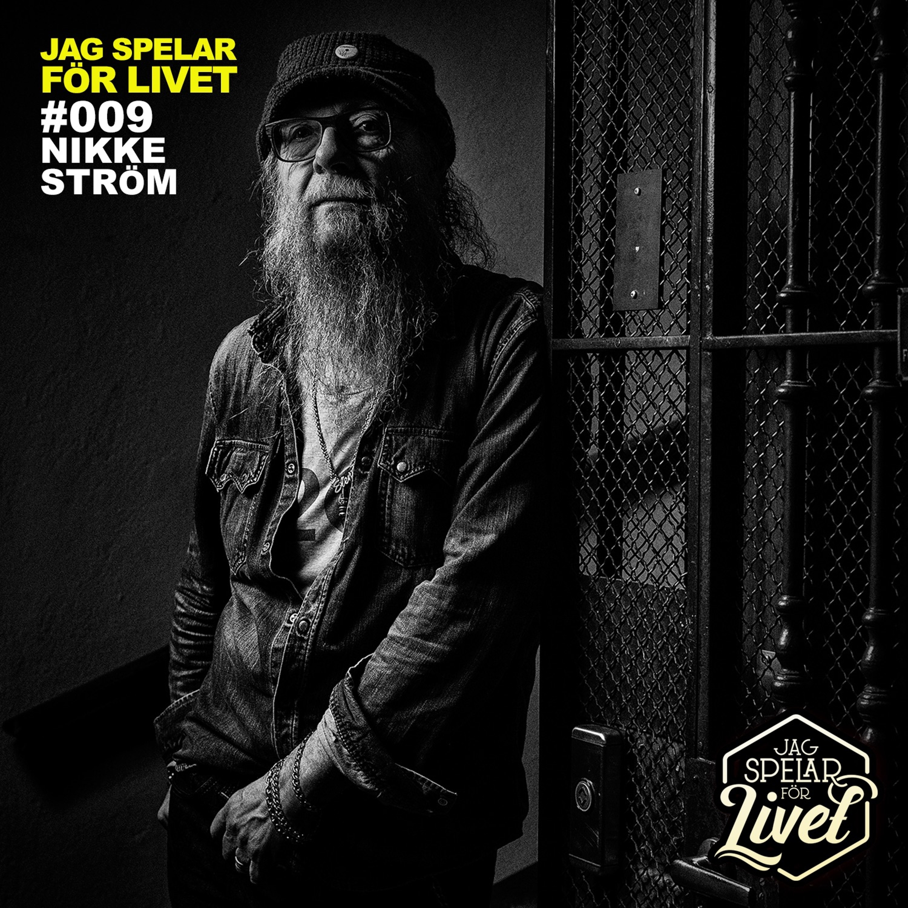 Jag Spelar för Livet - Musiker om Musik