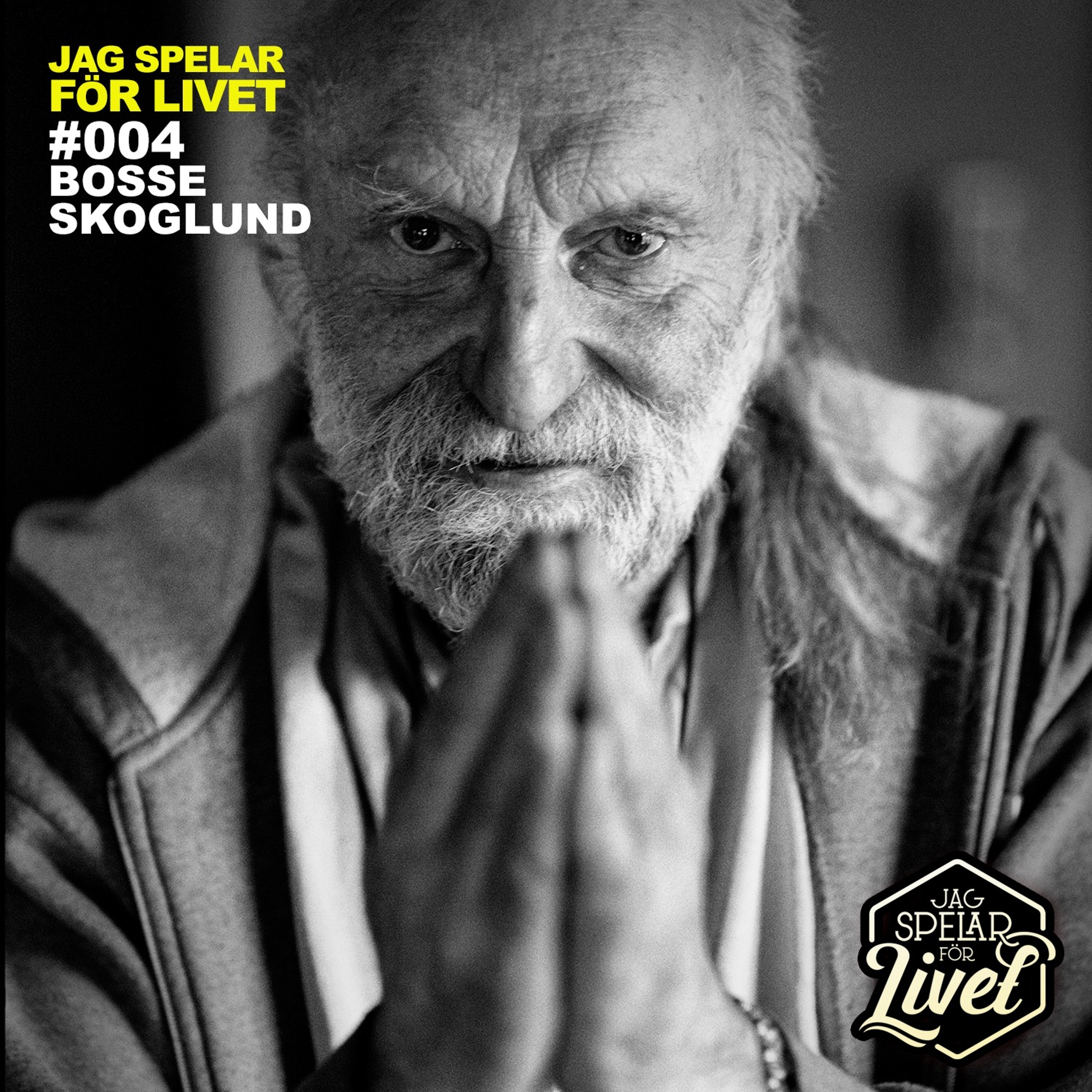 Jag Spelar för Livet - Musiker om Musik