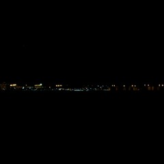 属『 G e n u s 』