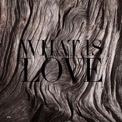 What Is Love - Ho Ngoc Ha