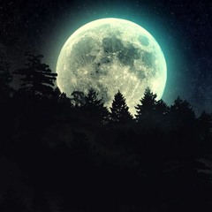 Trip At Night