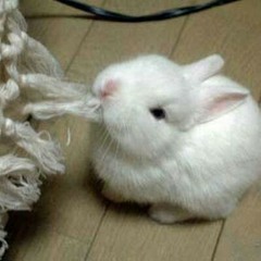 Don't Let Me Get Me - Pink