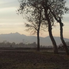 Raza che zu da yar kali ta - Javed Amir khel