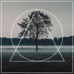 eRaized - Rise and Fall