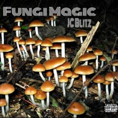 JC Blitz - Fungi Magic