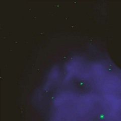 Joe, Varun, Will, & Alejandro (live at Everything Is Green And Submarine vol. 1)