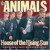 Artwork for The Animals - The House Of The Rising Sun
