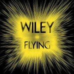 Wiley - Flying (Mr Durrans Remix) 2016 New Music