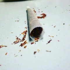 ملوك الشقاوه