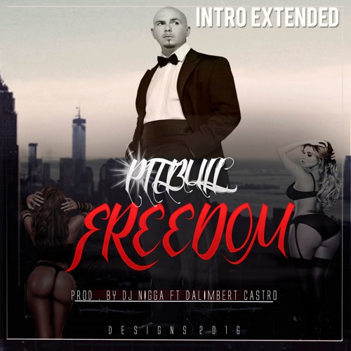 Pitbull - Intro Extended Freedom (By Nigga Ft Dalimber Catro)