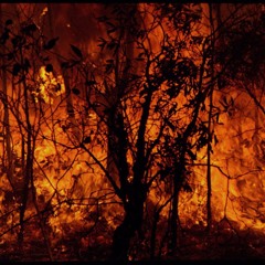 Incendies - Sunolhar quintet (2016)