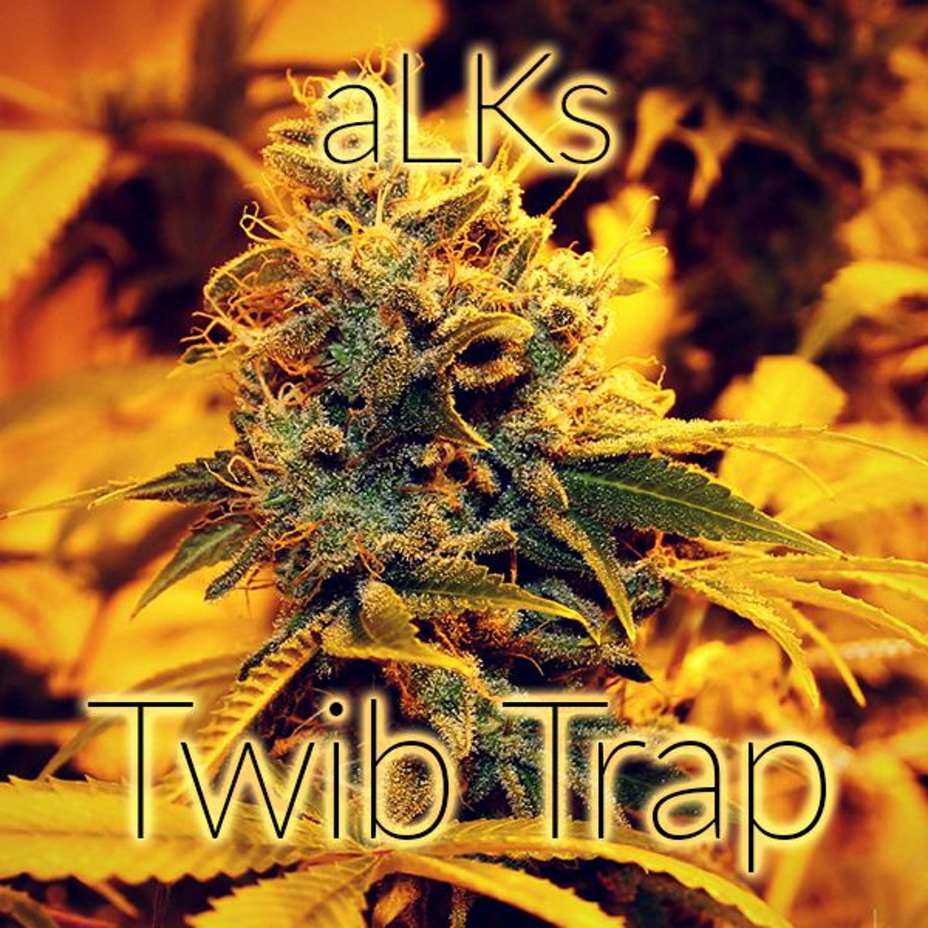 TwibTrap - volume 2
