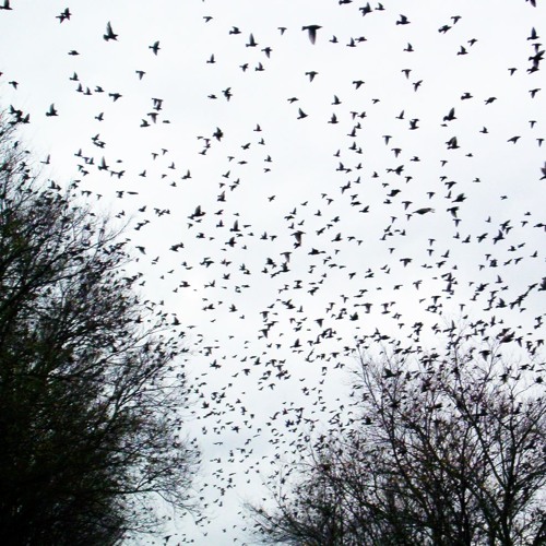 378KM Capisci Amore MIo - Reloaded