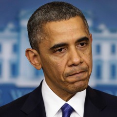 GUN LAWS OBAMA Executive Orders