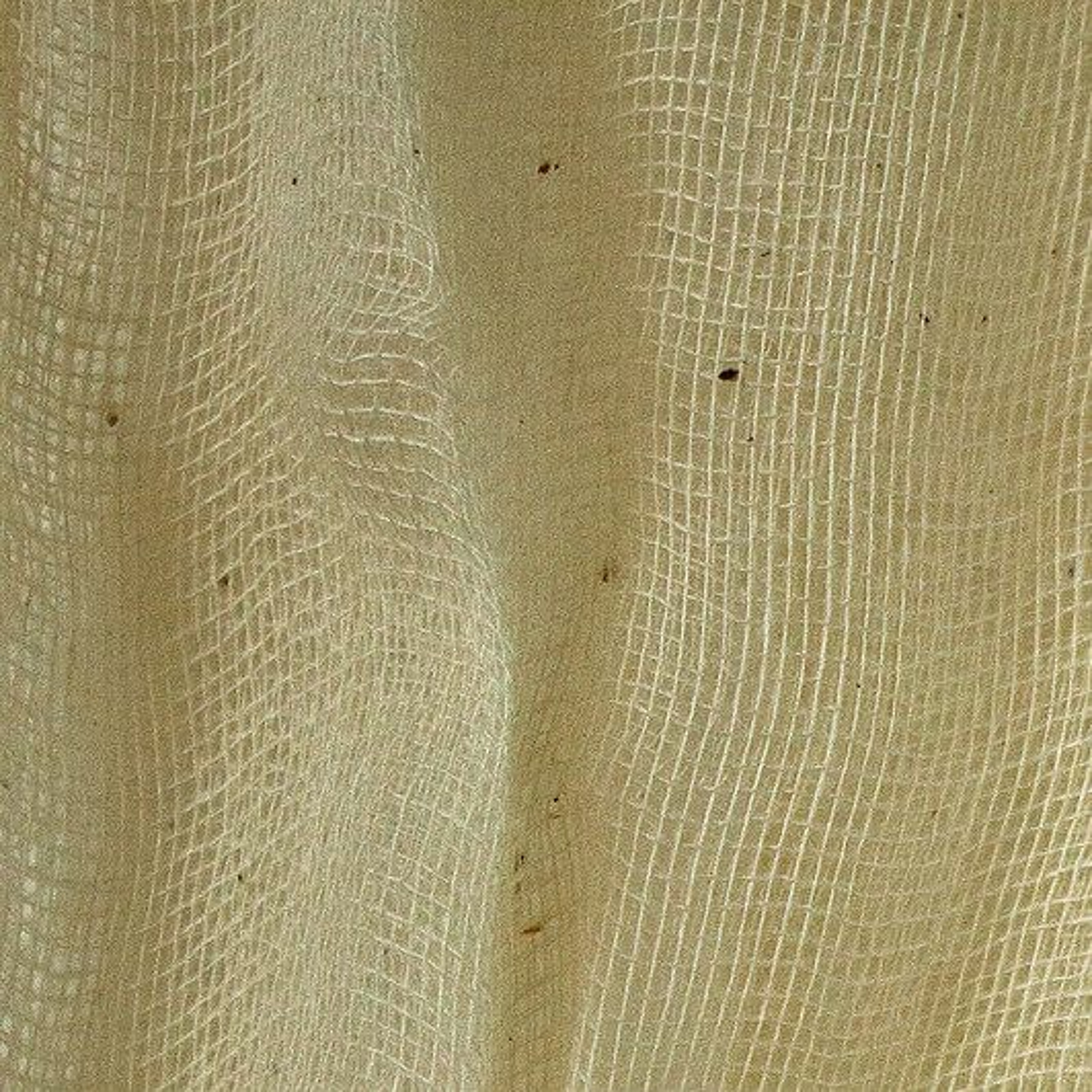 Thin layering (disquiet0216-tinylayers)