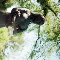 weird fishes (radiohead cover)