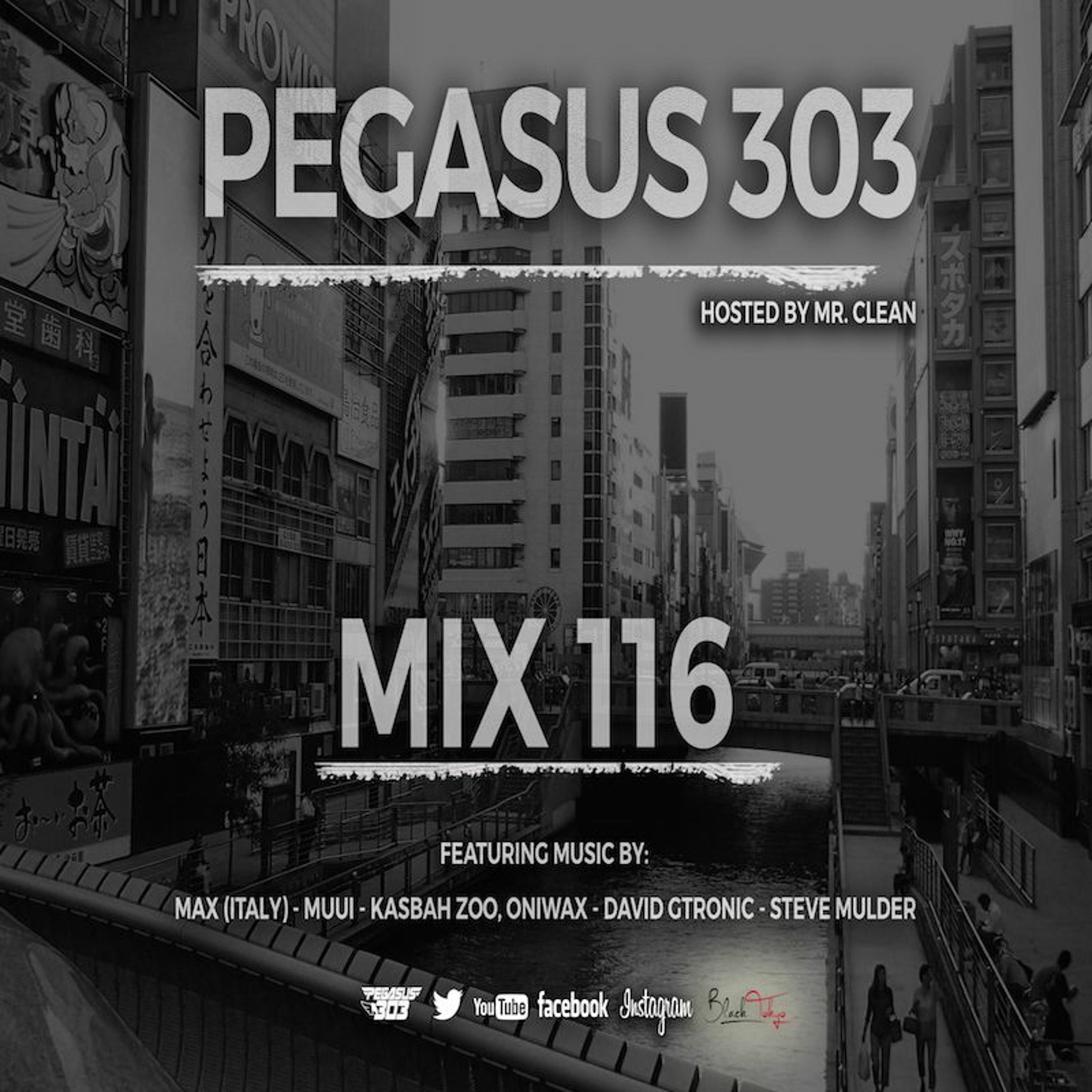 Pegasus 303 (mrclean)