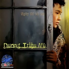 Doan Buon Cho Toi - Duong Trieu Vu