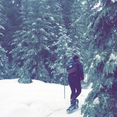 Never Be Like You ft. Kai by Flume - Cover