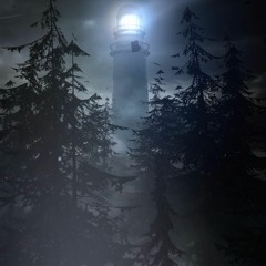 Obstacles - Syd Matters |COVER|